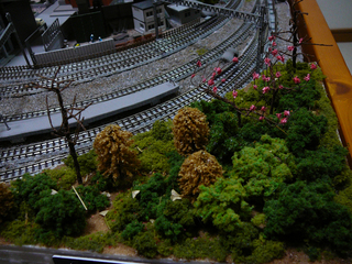 20130328P1010688.jpg