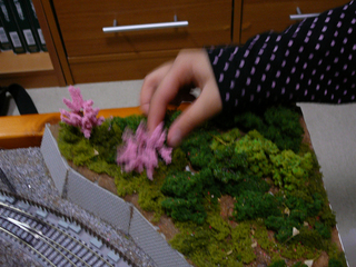 20130417P1010711.jpg