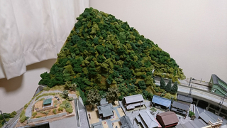DSC_0020s.jpg