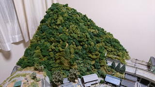 DSC_0598s.jpg
