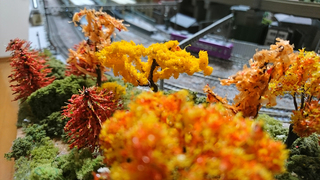 DSC_0624s.jpg
