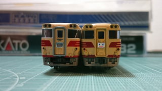 DSC_0828s.jpg