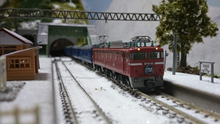 DSC_1501-1.jpg