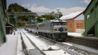 DSC_1521s.jpg