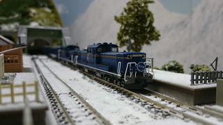 DSC_1530s.jpg