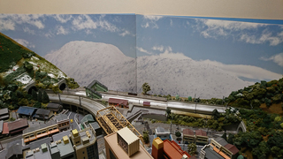 DSC_1598s.jpg