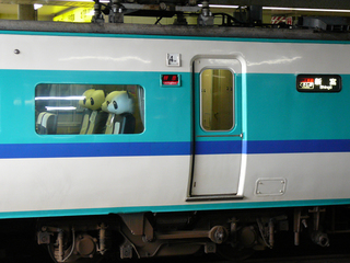 P1020379s.jpg