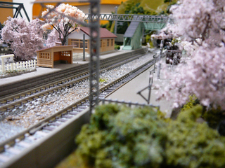 P1020721s.jpg