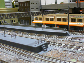 P1020729s.jpg