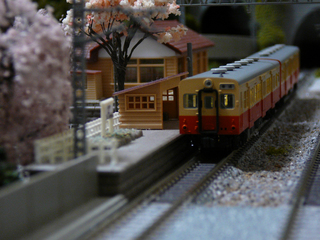 P1020752s.jpg
