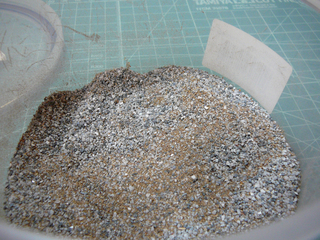 P1020933s.jpg