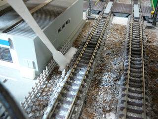 P1020937s.jpg