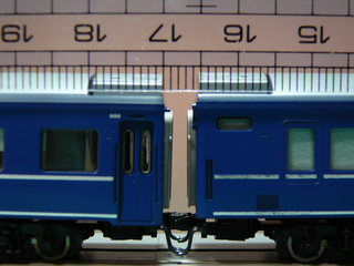 P1030235s.jpg