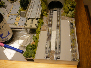 P1030538s.jpg