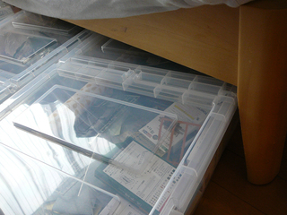P1030567s.jpg