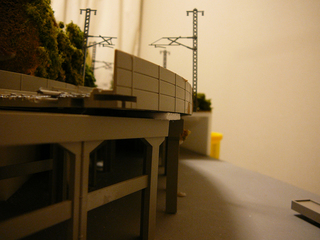 P1030569s.jpg