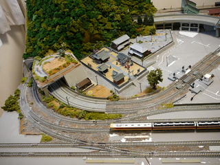 P1030698s.jpg