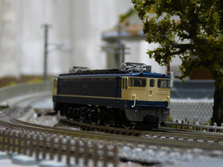 P1030721s.jpg
