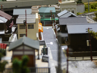 P1030749s.jpg