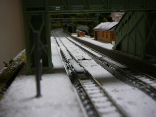 P1030968s.jpg