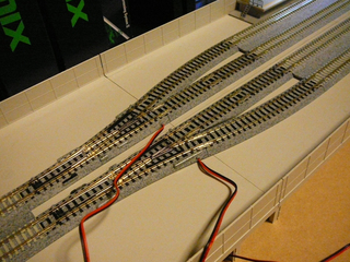 P1040279s.jpg