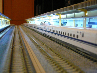 P1040281s.jpg