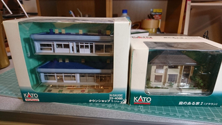 DSC_1306s.jpg