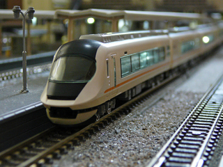 P1010139s.jpg