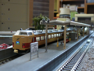 P1010498s.jpg