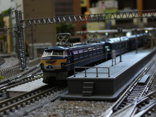 P1010501s.jpg