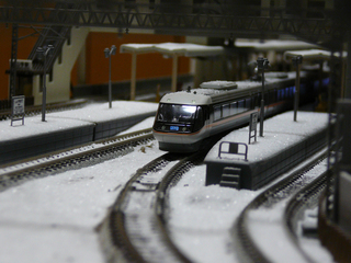 P1020453s.jpg