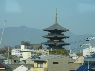 P1020475s.jpg