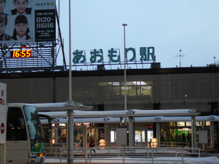 P1020494s.jpg