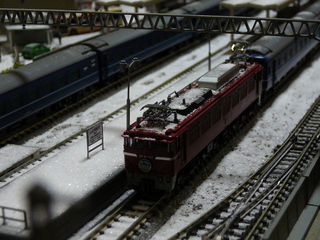 P1020573s.jpg