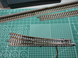 P1020677s.jpg