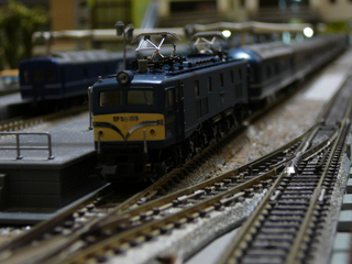 P1020803s.jpg