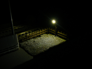 P1020967s.jpg