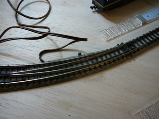P1030672s.jpg