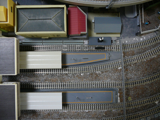 P1030804s.jpg