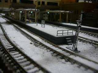 P1030999s.jpg