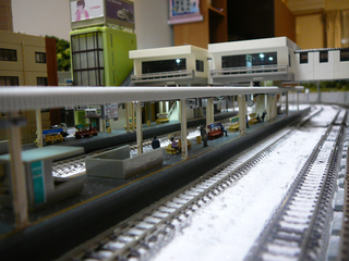 P1040002s.jpg