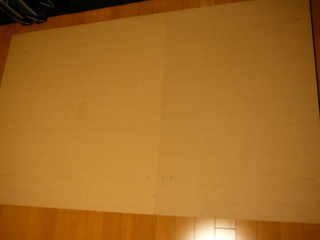 P1040234s.jpg