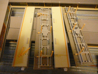 P1040371s.jpg
