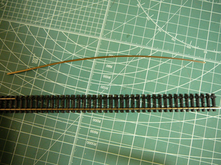 P1040544s.jpg