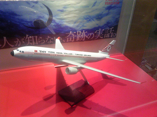 TS3V0011s.jpg